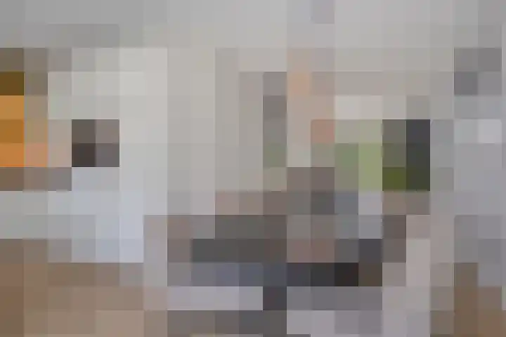 Gras 3 Ruurlo thumbnail 21