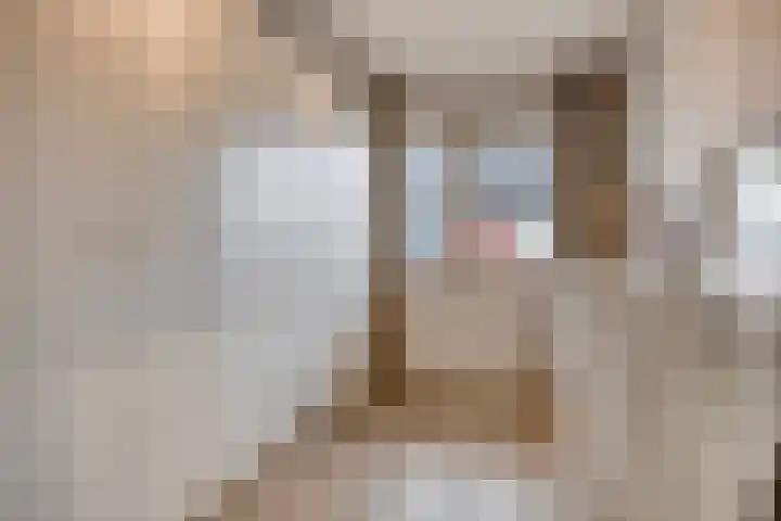 Gras 3 Ruurlo thumbnail 33