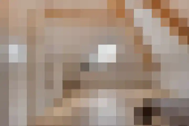 Gras 3 Ruurlo thumbnail 37