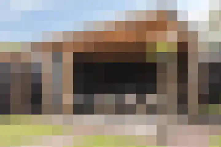Gras 3 Ruurlo thumbnail 41