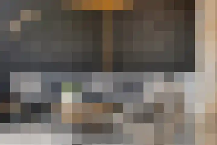 Gras 3 Ruurlo thumbnail 43