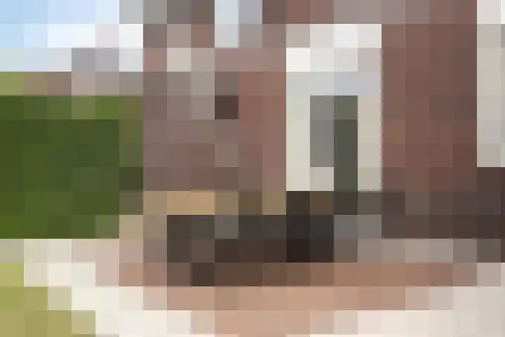 Gras 3 Ruurlo thumbnail 44