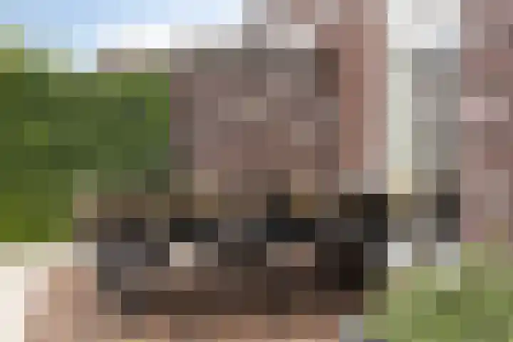 Gras 3 Ruurlo thumbnail 45