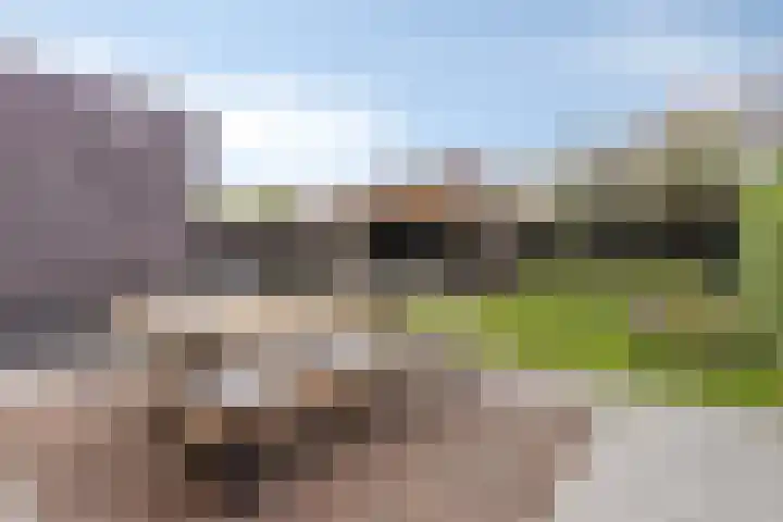 Gras 3 Ruurlo thumbnail 46