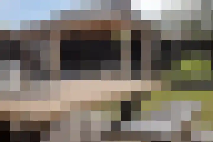 Gras 3 Ruurlo thumbnail 47
