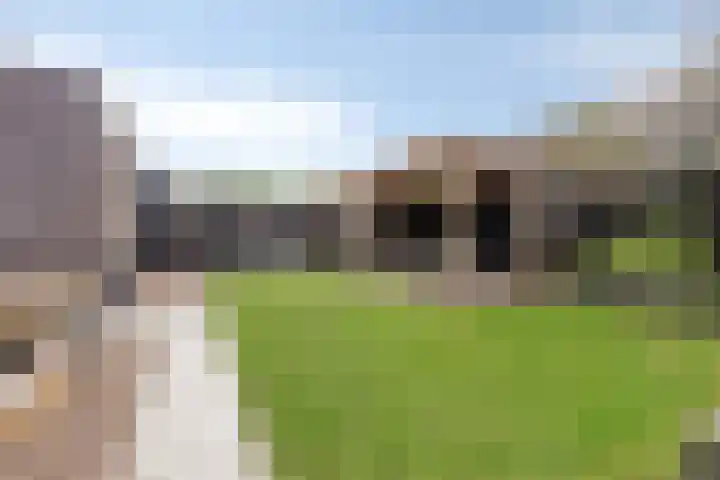 Gras 3 Ruurlo thumbnail 48