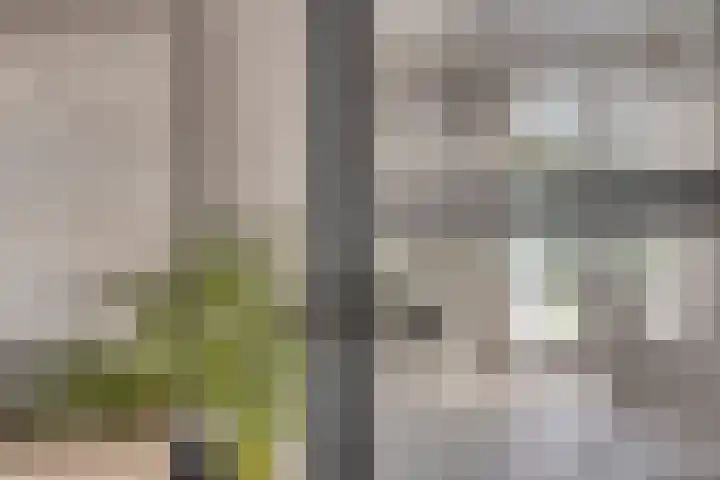 Gras 3 Ruurlo thumbnail 5