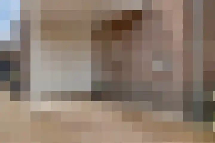 Gras 3 Ruurlo thumbnail 50