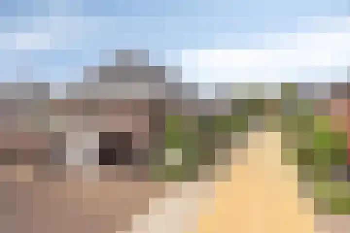 Gras 3 Ruurlo thumbnail 51