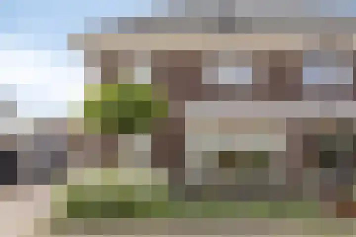Gras 3 Ruurlo thumbnail 53