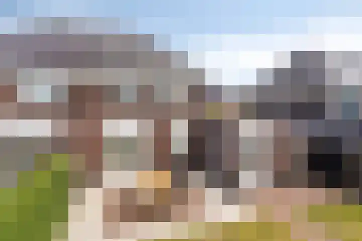 Gras 3 Ruurlo thumbnail 54