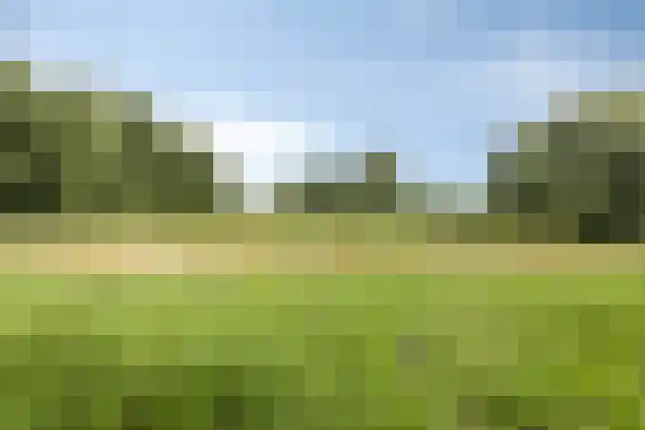 Gras 3 Ruurlo thumbnail 55
