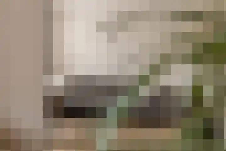 Gras 3 Ruurlo thumbnail 7