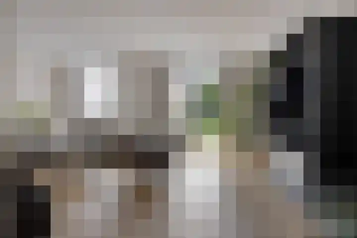 Gras 3 Ruurlo thumbnail 8