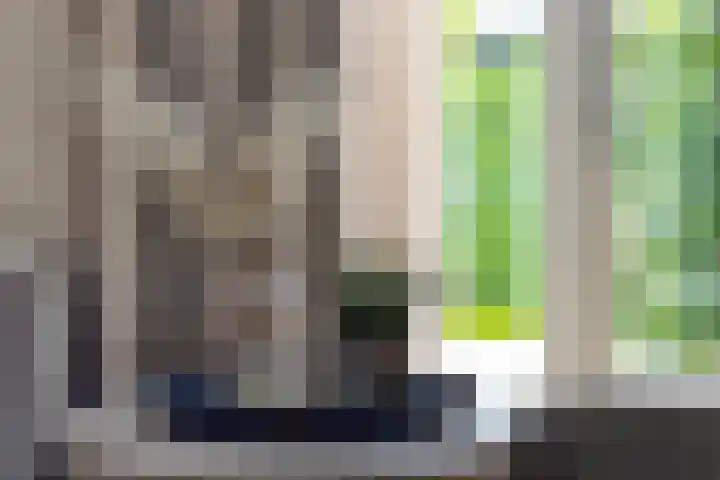 Gras 3 Ruurlo thumbnail 9