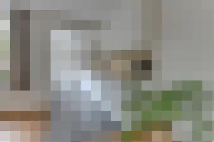 Grasakker 10 Noord-Scharwoude thumbnail 17