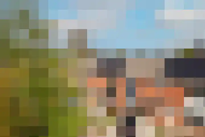 Grasakker 10 Noord-Scharwoude thumbnail 4