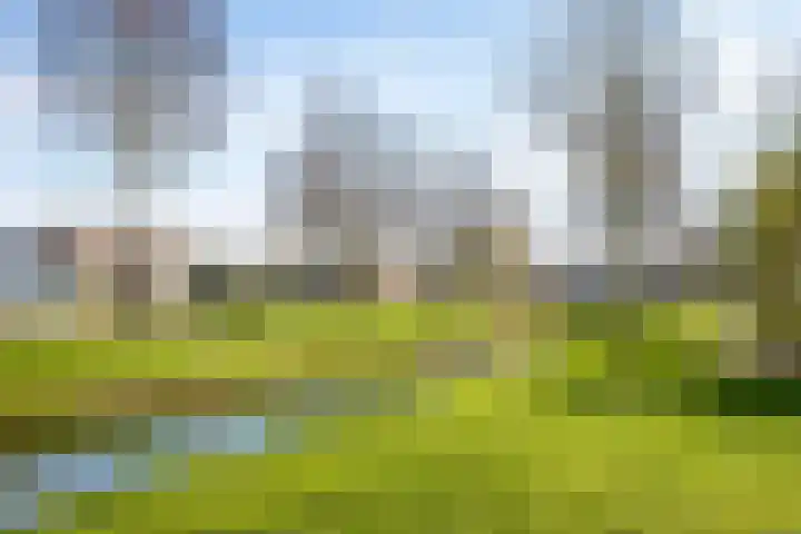 Grasakker 10 Noord-Scharwoude thumbnail 40