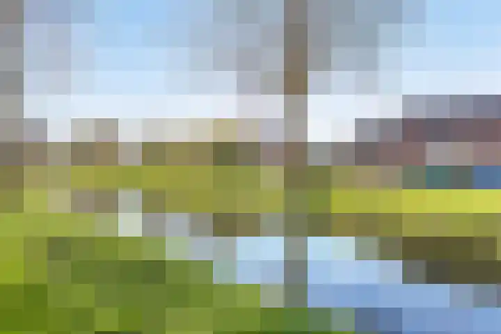Grasakker 10 Noord-Scharwoude thumbnail 41