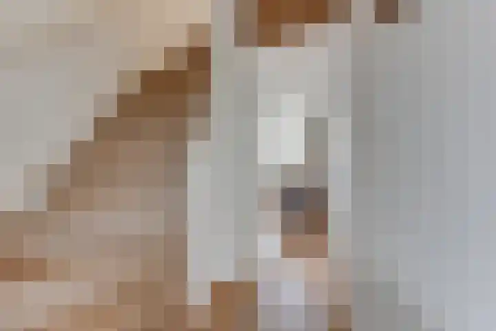 Grasakker 10 Noord-Scharwoude thumbnail 8