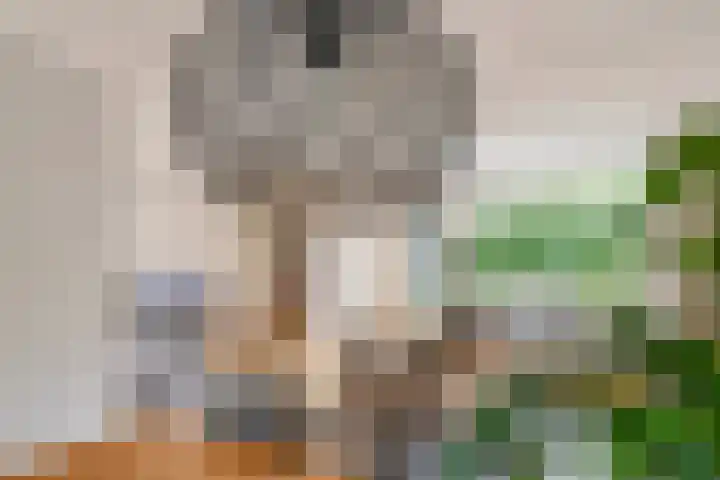 Grasakker 12 Druten thumbnail 11