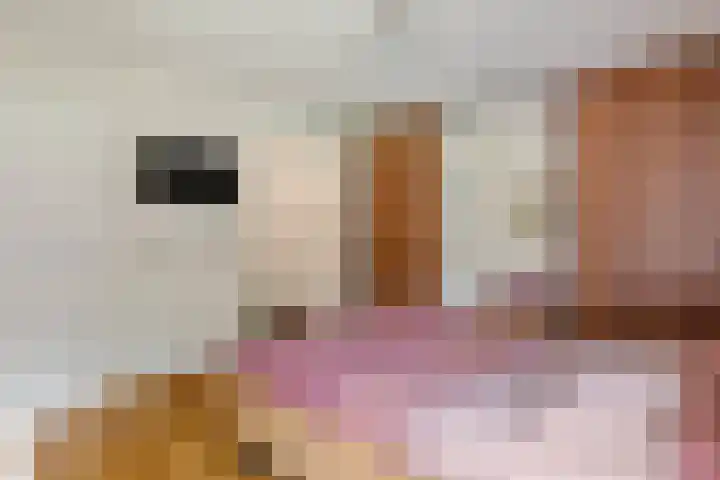 Grasakker 12 Druten thumbnail 17