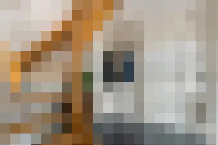 Grasakker 12 Druten thumbnail 21