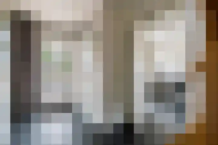 Grasakker 12 Druten thumbnail 23