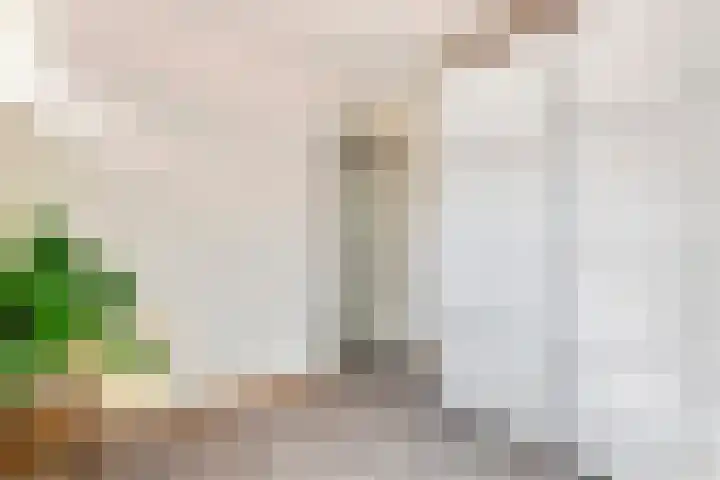 Grasakker 12 Druten thumbnail 29