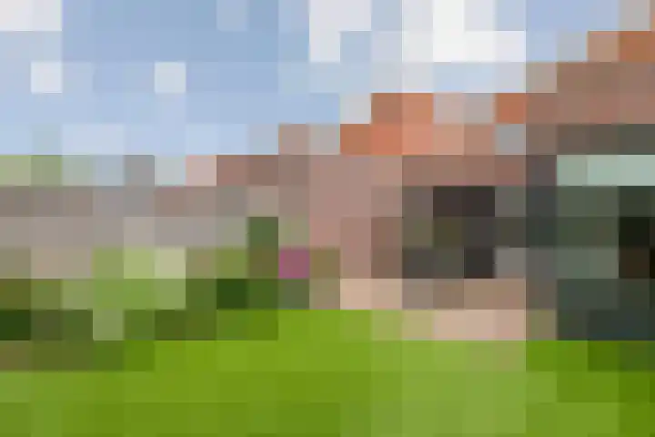 Grasakker 12 Druten thumbnail 33