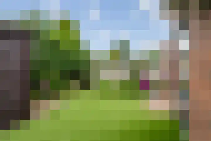 Grasakker 12 Druten thumbnail 34