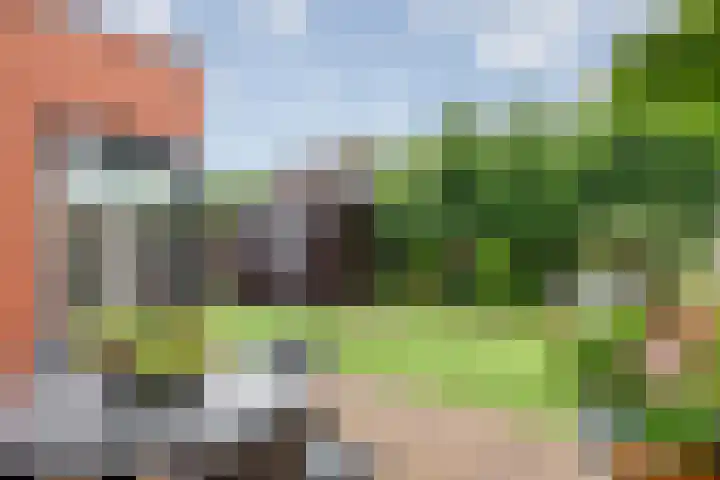 Grasakker 12 Druten thumbnail 35