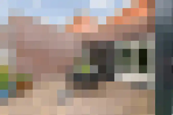 Grasakker 12 Druten thumbnail 36