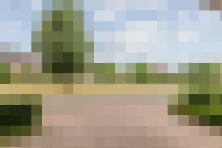 Grasakker 12 Druten thumbnail 37