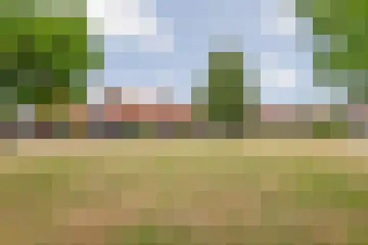 Grasakker 12 Druten thumbnail 38