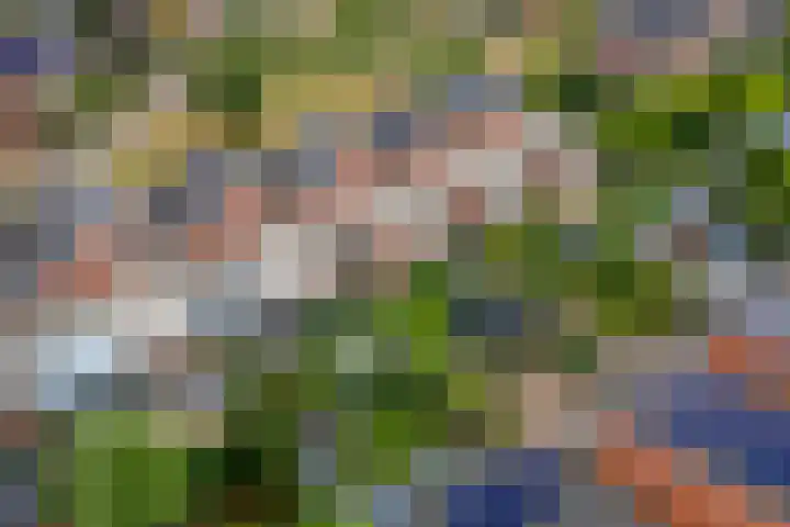 Grasakker 12 Druten thumbnail 39