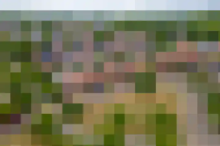 Grasakker 12 Druten thumbnail 40