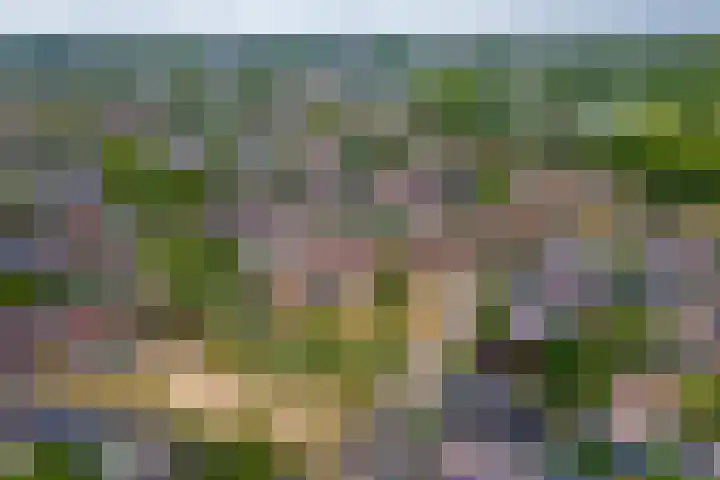 Grasakker 12 Druten thumbnail 41