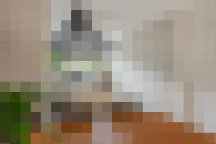 Grasakker 12 Druten thumbnail 8