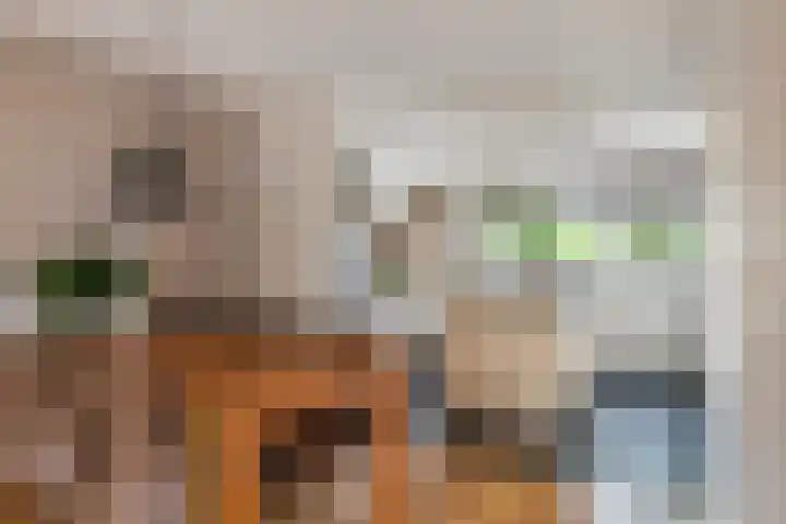 Grasakker 12 Druten thumbnail 9