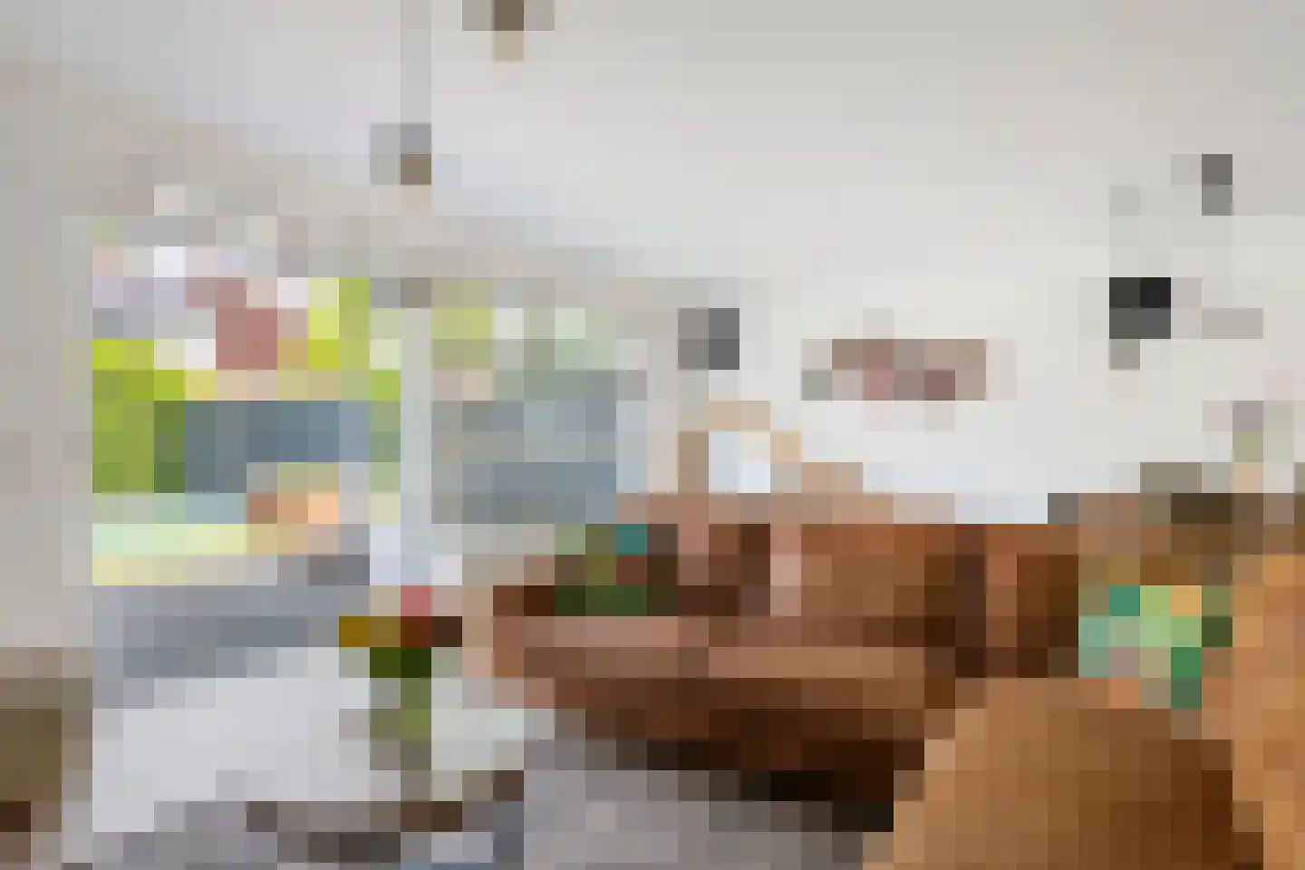 Grasakker 24 Druten thumbnail 14