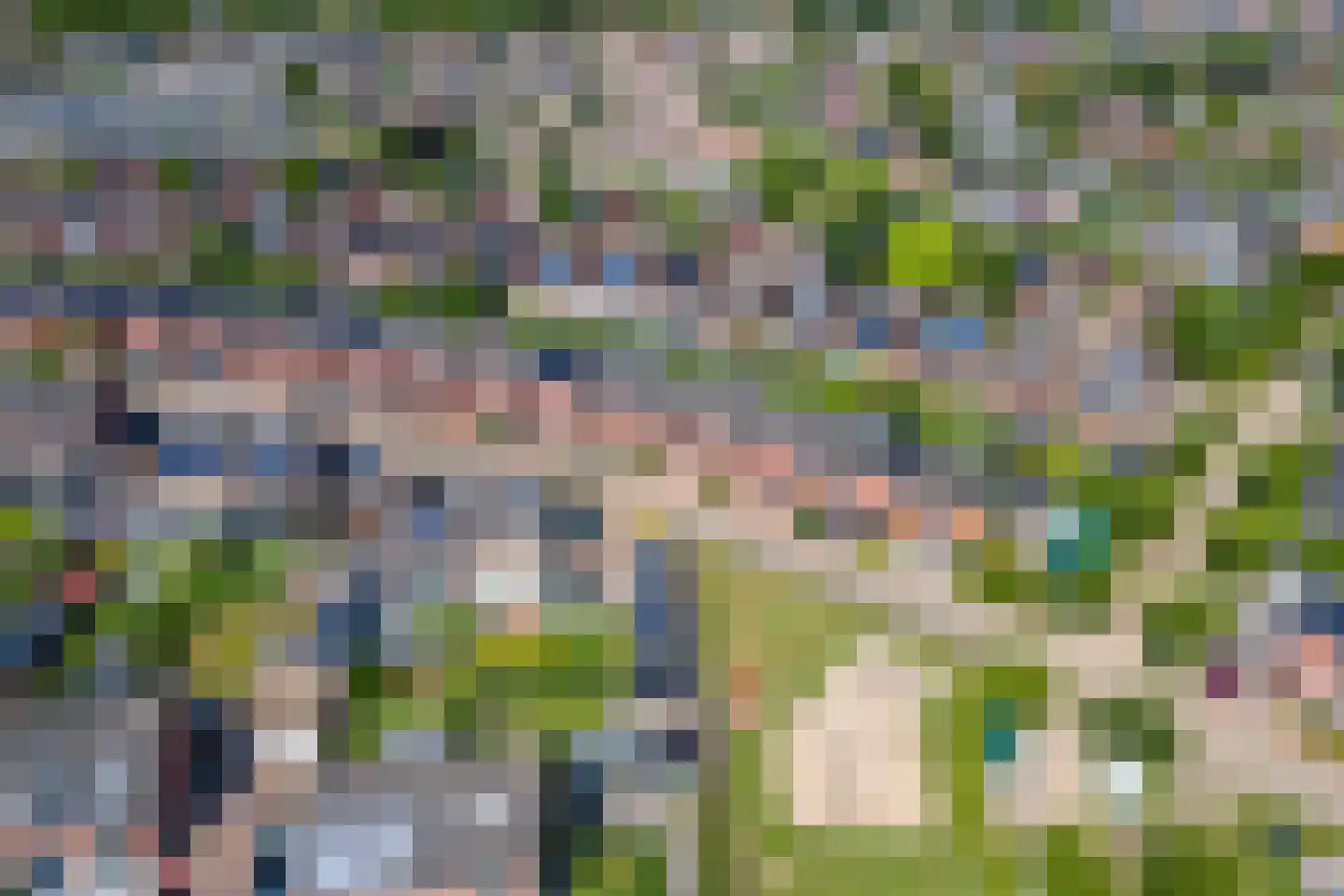 Grasakker 24 Druten thumbnail 50