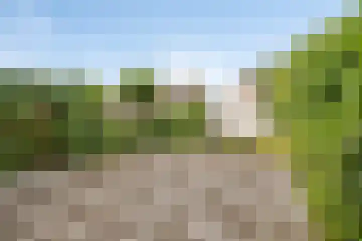 Grasakker 24 Stolwijk thumbnail 26