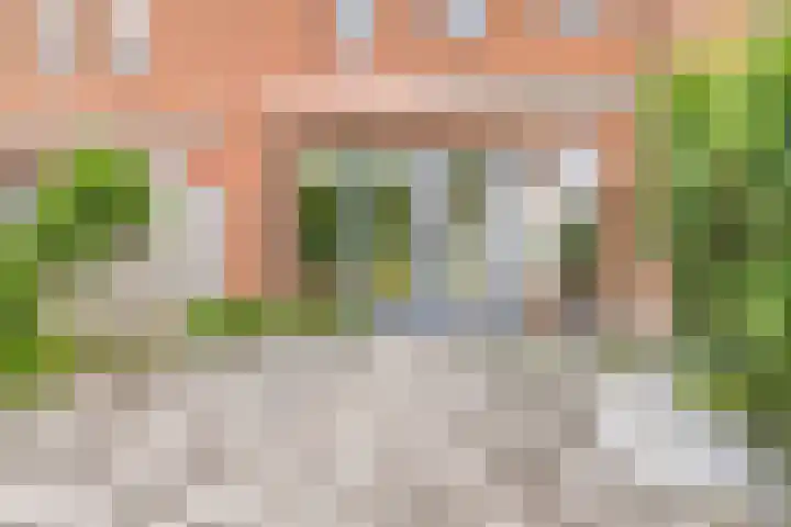 Grasakker 24 Stolwijk thumbnail 27