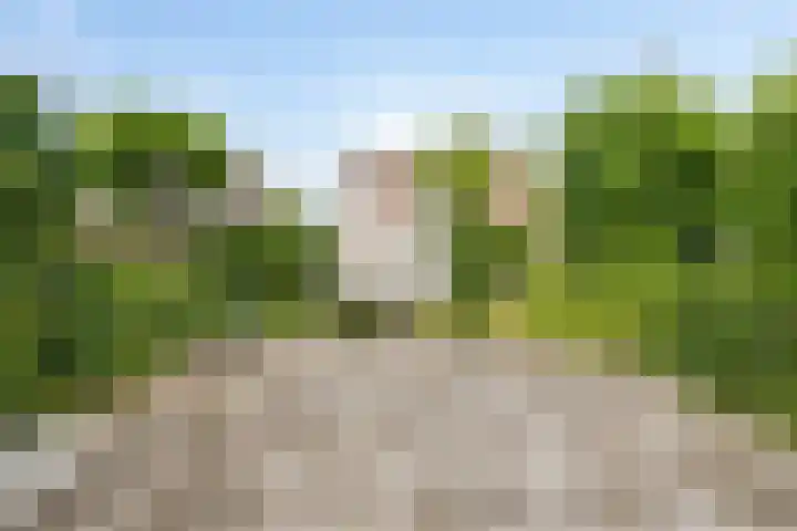Grasakker 24 Stolwijk thumbnail 29