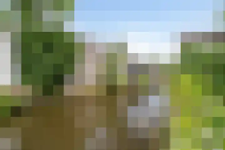 Grasakker 24 Stolwijk thumbnail 30
