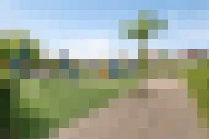 Grasakker 24 Stolwijk thumbnail 32