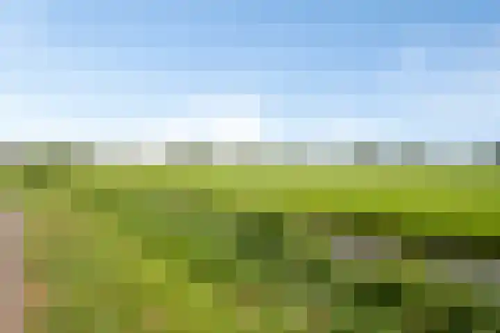 Grasakker 24 Stolwijk thumbnail 33