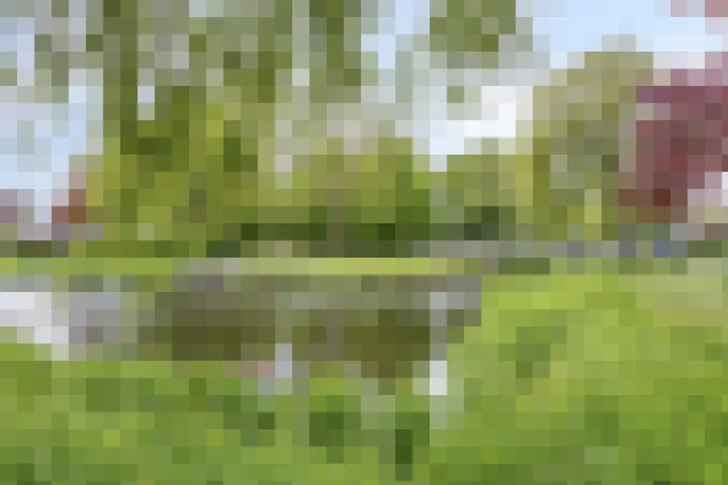 Grasakker 26 Noord-Scharwoude thumbnail 37