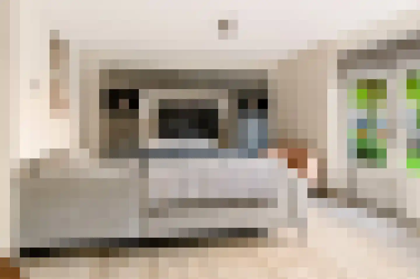 Grasakker 38 Druten thumbnail 12